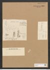 Schizonema spinescens Ktz. (de-Toni-Nr.: Genus 20, Species 1197) Zeichnungen Sammlung Grunow Nr. 2304 (NHMW-BOT-W0369426)